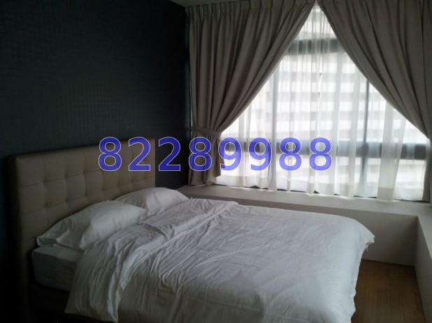 Rhapsody On Mount Elizabeth (D9), Apartment #64491092